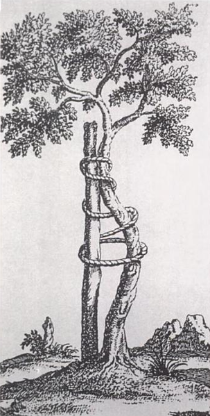 Tree of Andry